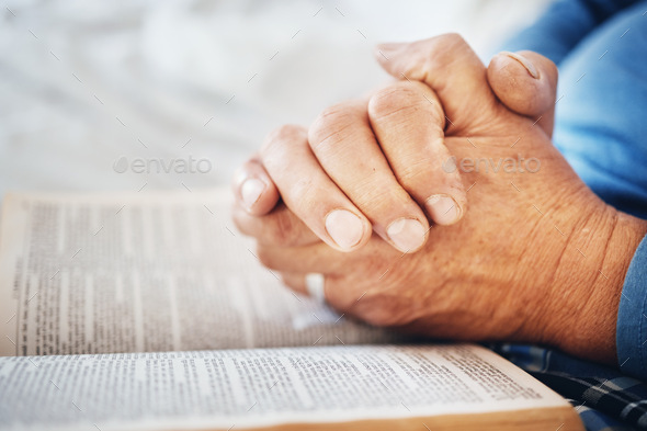 Hands, Bible and pray with God and worship, religion with faith or spiritual, reading scripture for