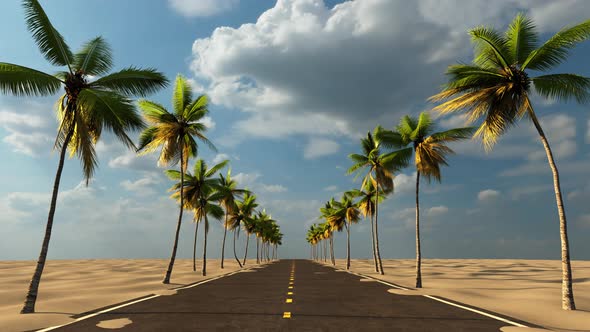 Exotic journey along the road among tropical palm trees to the sea on vacation