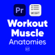 Workout Muscle Anatomies Pack For Premiere Pro - VideoHive Item for Sale