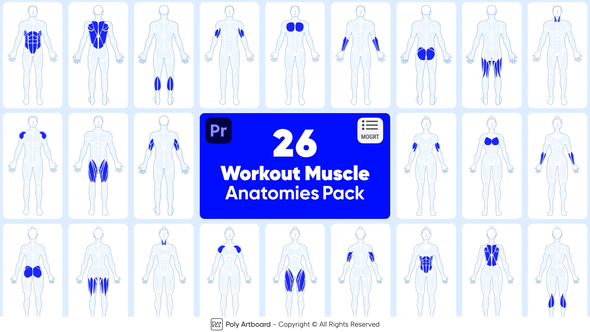 Workout Muscle Anatomies Pack For Premiere Pro