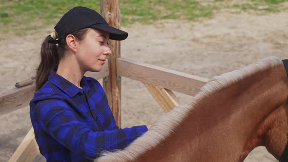 Caretaker Brushing Her Horse Blond Mane  Grooming Her Horse  Horse Love alt