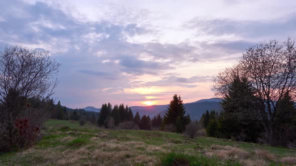 Sunset on a Cloudy Spring Day Natural Scenery in the Forest on the Meadow