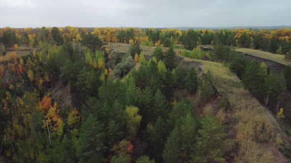 Aerial view of wild ravines overgrown with trees.