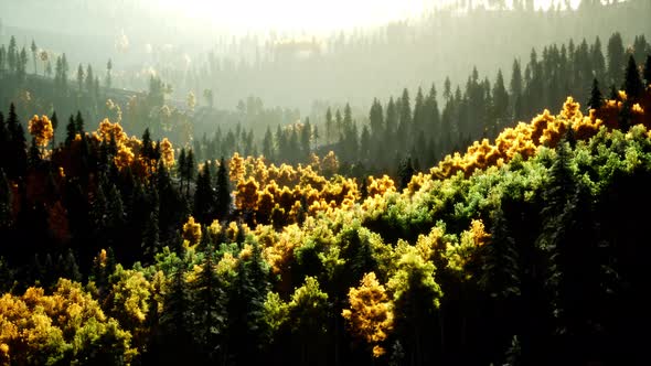 Bright Sunset in the Mountains with Forest alt