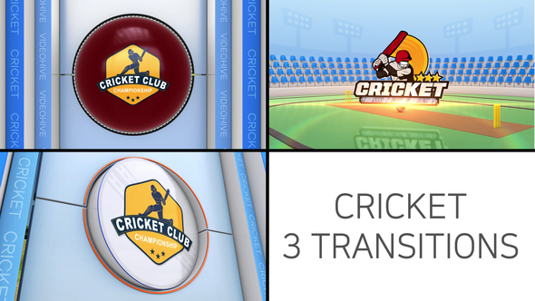 Cricket Logo Transition