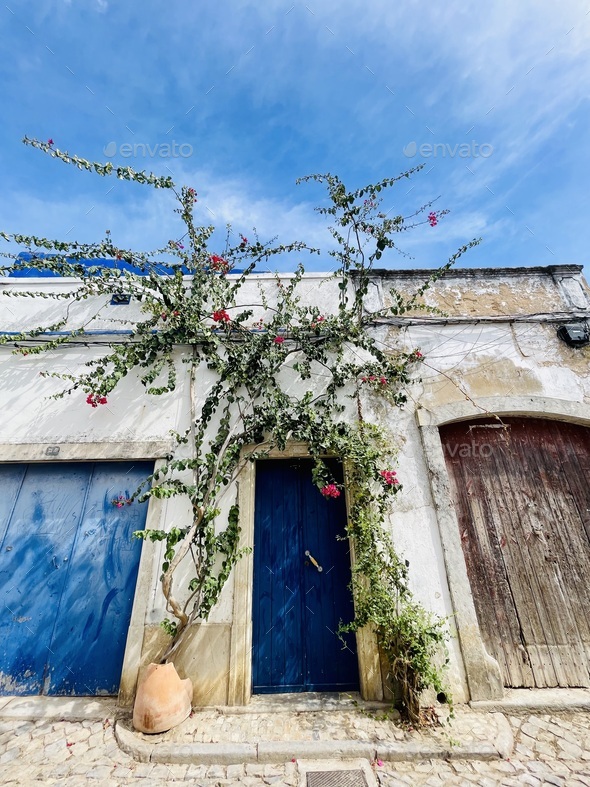 Traditional white architecture and door overlooking the