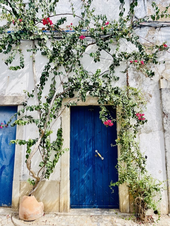 Traditional white architecture and door overlooking the