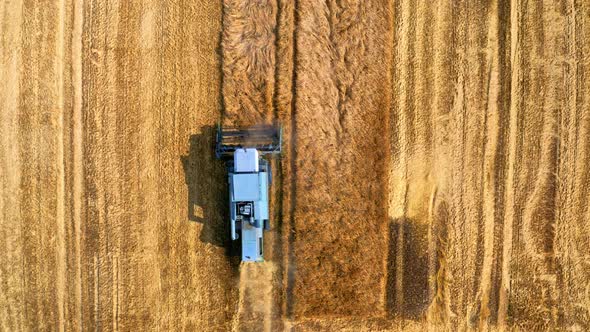 Top down view of blue harvester working on field alt