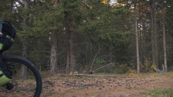 The Woman Travel on Mixed Terrain Cycle Touring with Bike Bikepacking alt