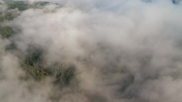 Drone flight over low clouds and morning mists covered mountain slopes alt