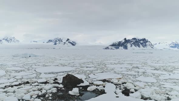 Antarctica Aerial Flight Over Ice Ocean, Penguins alt