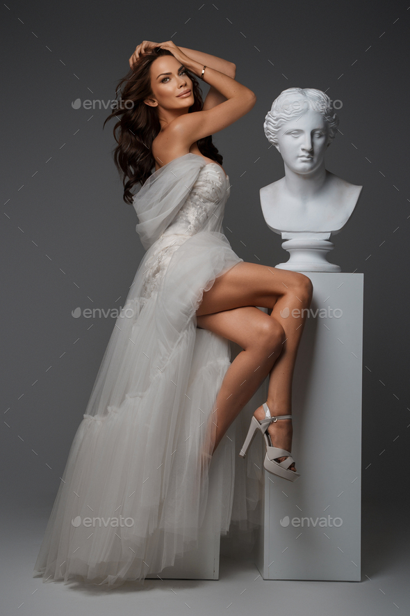 Beautiful Girl Elegant Dress Posing Studio Stock Photo 1341259361 |  Shutterstock