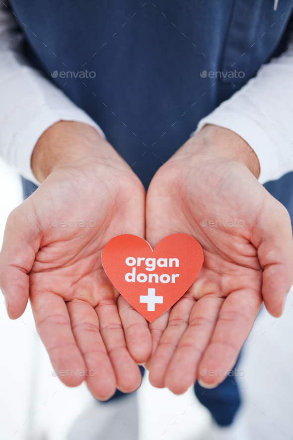 Nurse, hands and heart for organ donor, transplant and good deed for healthcare, medical service an