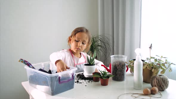 Little Child Girl Replant a Flower at Home Indoor
