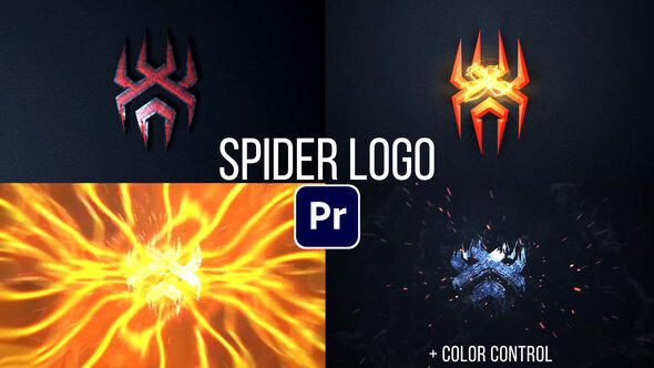 Spider Logo