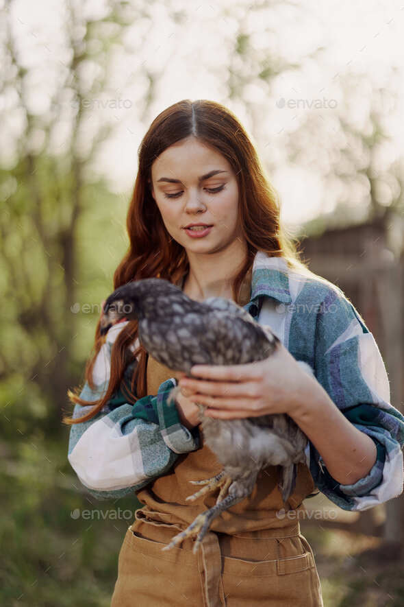 A woman farmer holds a chicken and looks at it to check the health and general condition of the bird