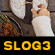 Slog3 Thanksgiving and Standard Color LUTs