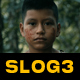 Slog3 Cinematic and Standard Color LUTs