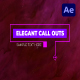 Elegant Call Outs | After Effects - VideoHive Item for Sale