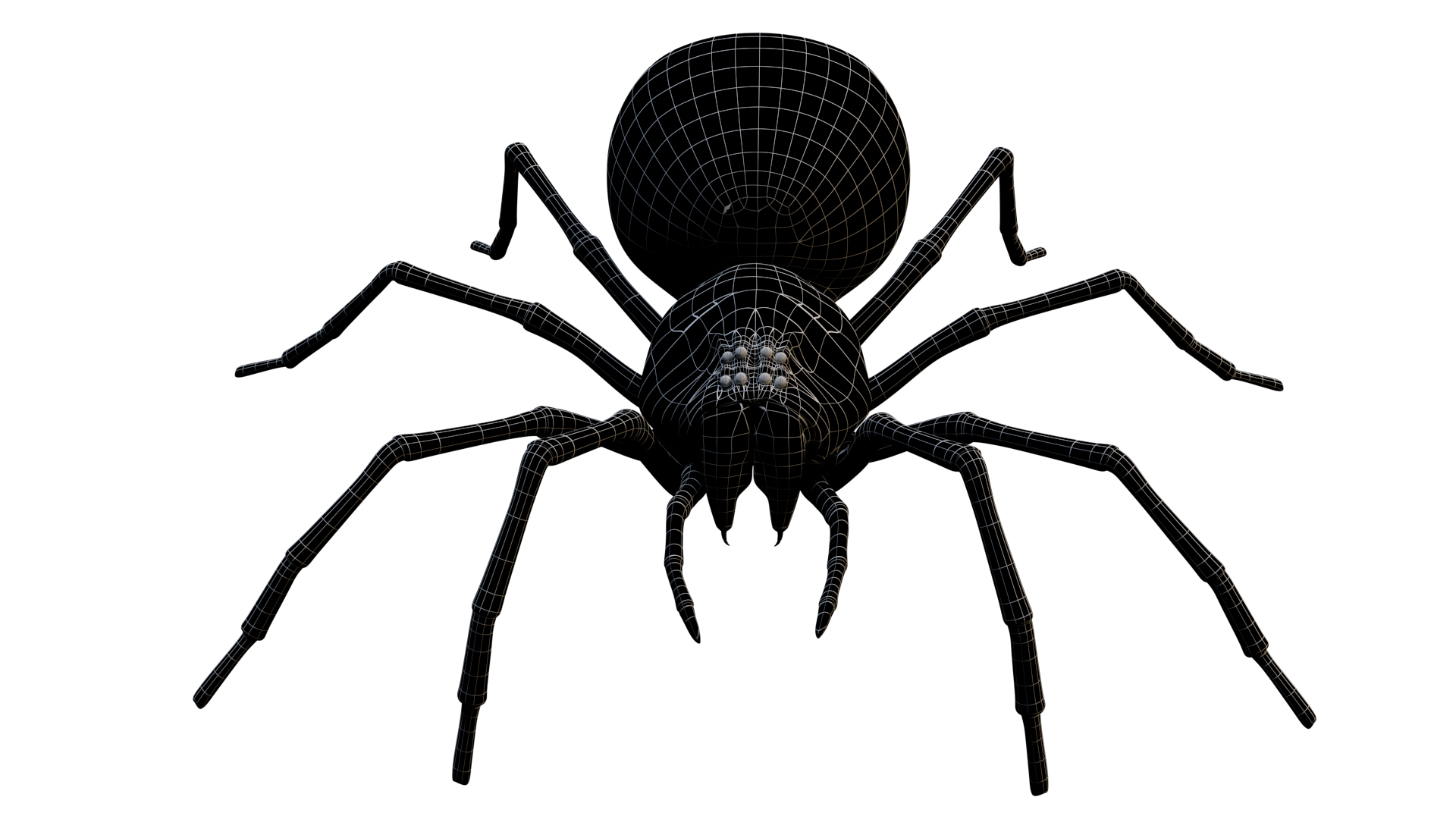 Black Spider 3d Model by madi7779 | 3DOcean