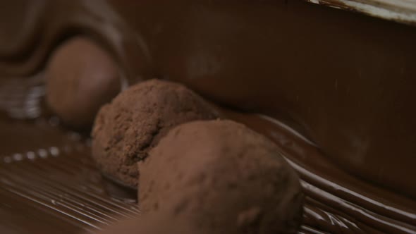 Chocolate truffles on a conveyor belt at candy factory