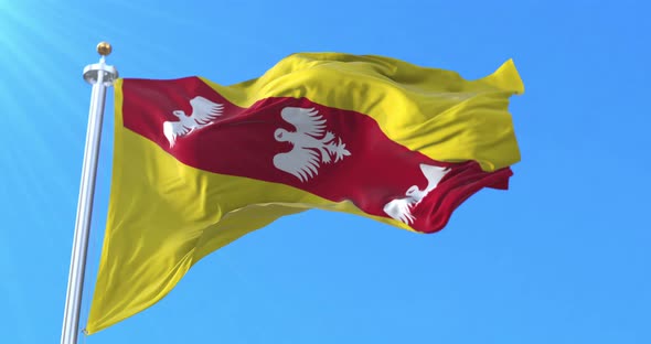 Lorraine Flag Waving alt