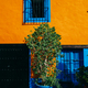 Bright exterior facade of a building in Marbella, Spain.  - PhotoDune Item for Sale