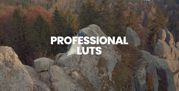 Professional LUTs