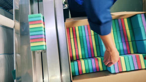 Factory Worker Relocating Cleaning Sponges From a Box To a Conveyor alt