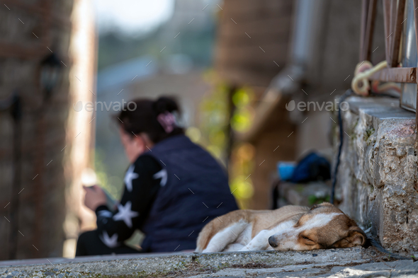 Dog sleeps at top of stairs narrow streets of mountain town, selective focus