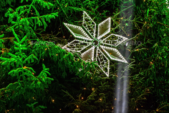 Christmas Outdoor Background With Decorated Fir Tree Branches And Lights Blurred Bokeh Stock