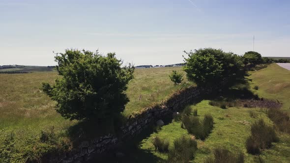 Aerial view of the Dartmoor National Park. Its lushes green trees and grass is beautiful. This park alt