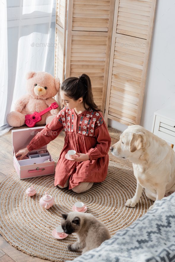 high angle view of girl with ponytail playing with toy tea set near labrador dog and cat