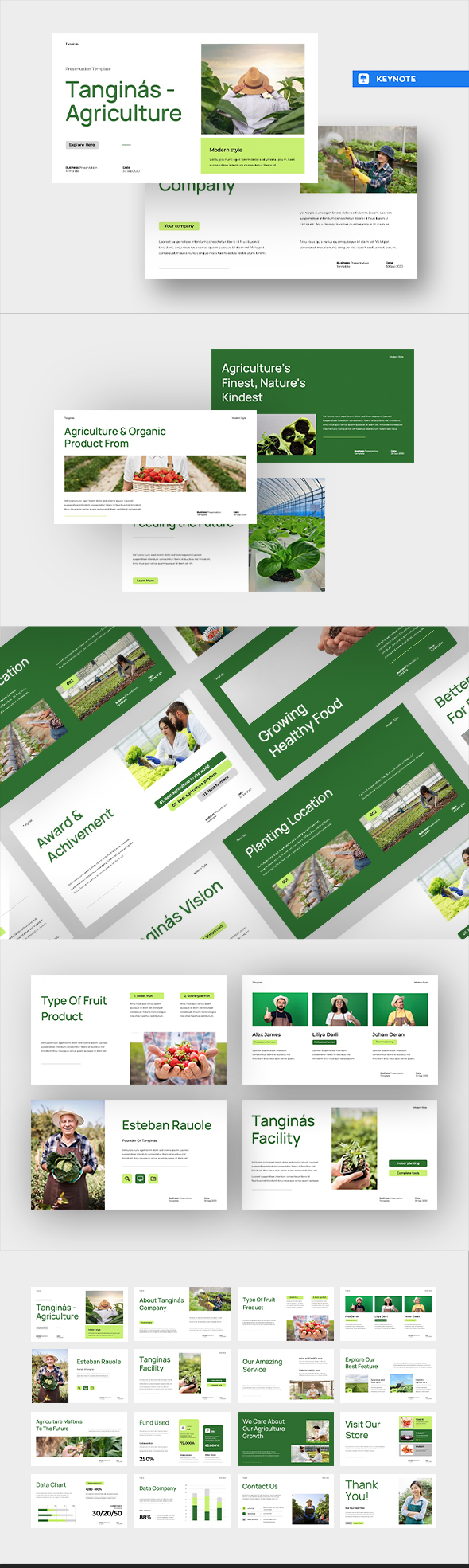 Green Lime Modern Agriculture Pitch Deck Template 001