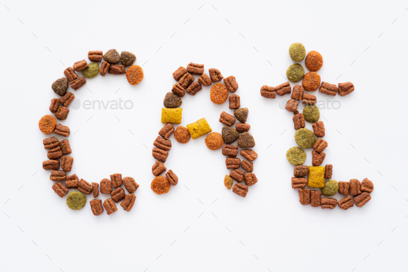 top view of cat word made of dry pet food isolated on white