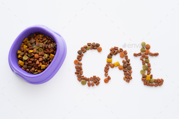 top view of cat word made of dry pet food near bowl isolated on white