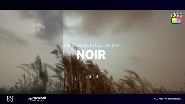 Noir LUT Collection Vol. 04 for Final Cut Pro X