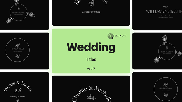Wedding Titles Vol. 17