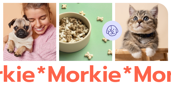 Morkie – Pet Shop and Pet Care Theme