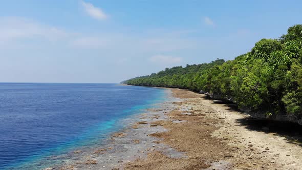 Aerial view clip of beach seashore in an island with clear blue sea water