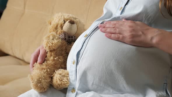 Unrecognizable Pregnant Woman Stroking Belly Holding a Bear Toy While Sitting on the Sofa