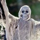 Halloween Ghost - PhotoDune Item for Sale