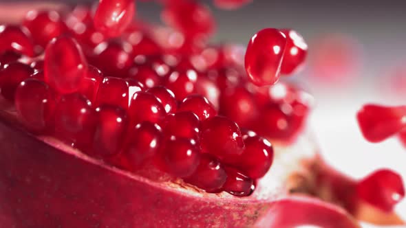 Pomegranate Grains Rolls Down on Surface of Broken Pomegranate in Slow Motion alt