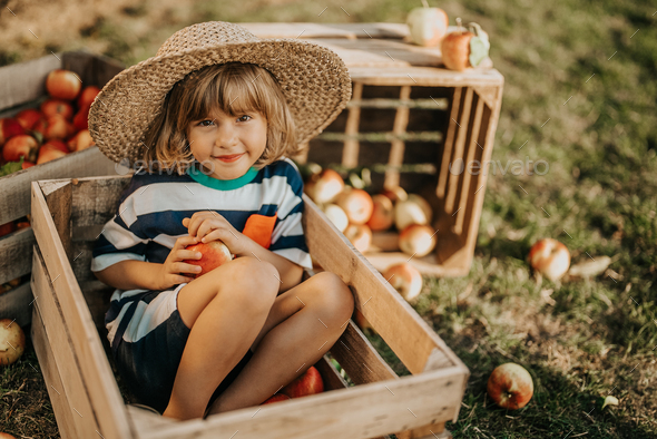 Handsome little child with apple sitting in wooden box in orchard.Organic fruits