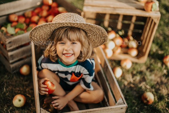 Smiling little child with apple sitting in wooden box in orchard.Organic fruits