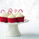Christmas cupcakes decorated with candy canes - PhotoDune Item for Sale