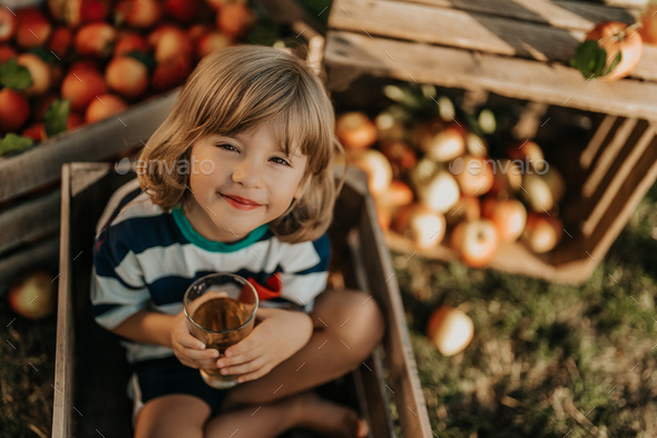 Cute little toddler boy drinking apple juice. Child in wooden box in orchard.