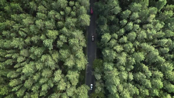 K Cinematic Drone Shot - Flying Over a Road. Discovering a Road in the Middle of a Beautiful Forest alt