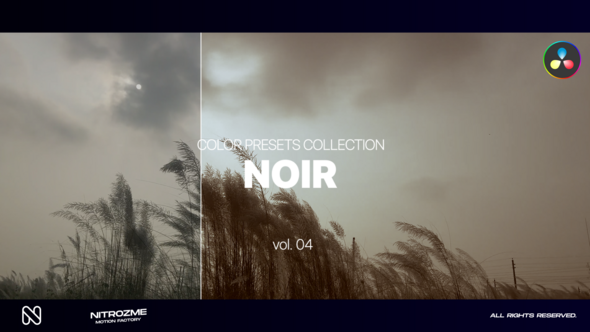 Noir LUT Vol. 04 for DaVinci Resolve