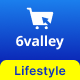6Valley Lifestyle Theme Addon 
